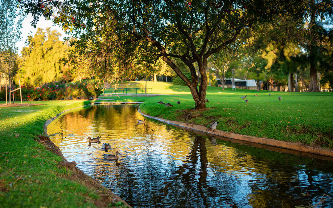 Jardines del canal: Una nueva forma de vivir Zaragoza junto al canal imperial