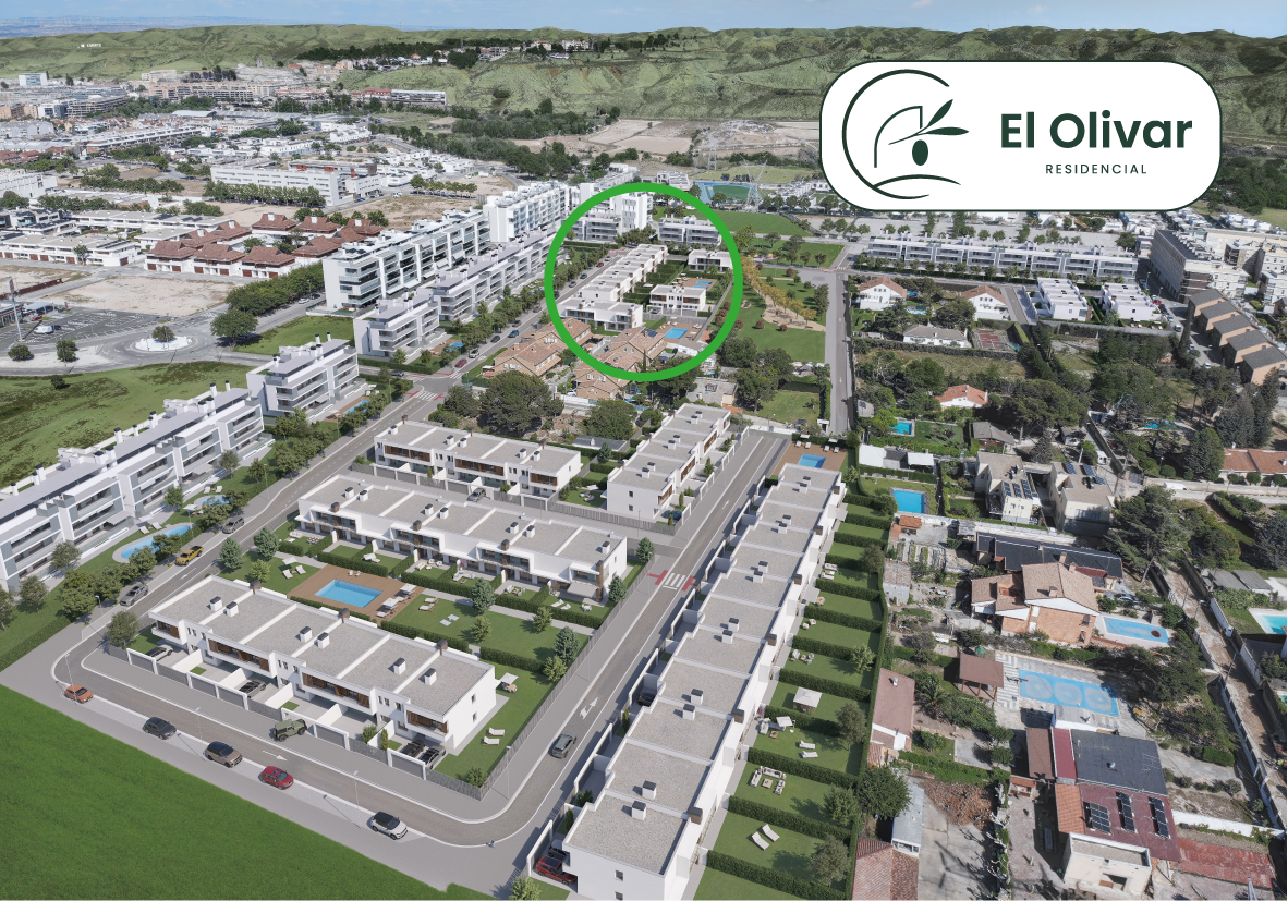 Infografia sector El Olivar